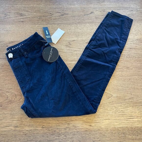 Articles of Society Deep Blue Size 27 High Rise Skinny Velvet Jeans NWT 540 - Picture 1 of 3